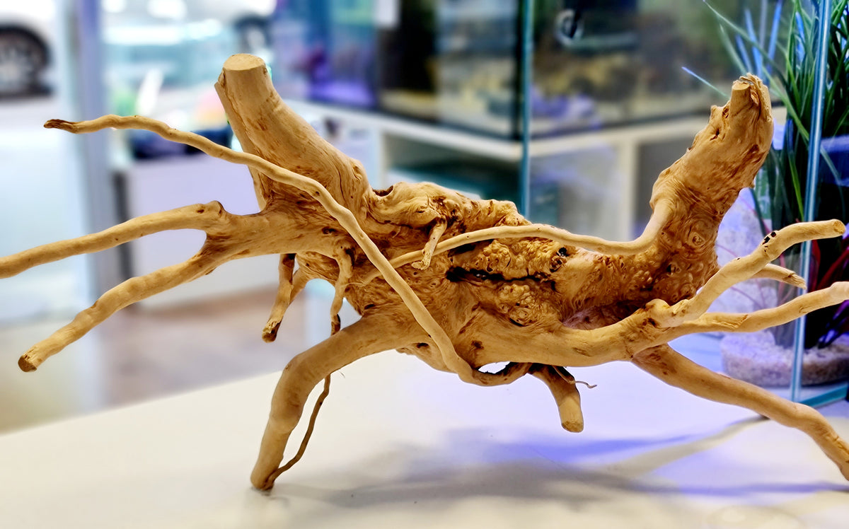 Tronco radice legno ornamentale – Igapò acquari tropicali