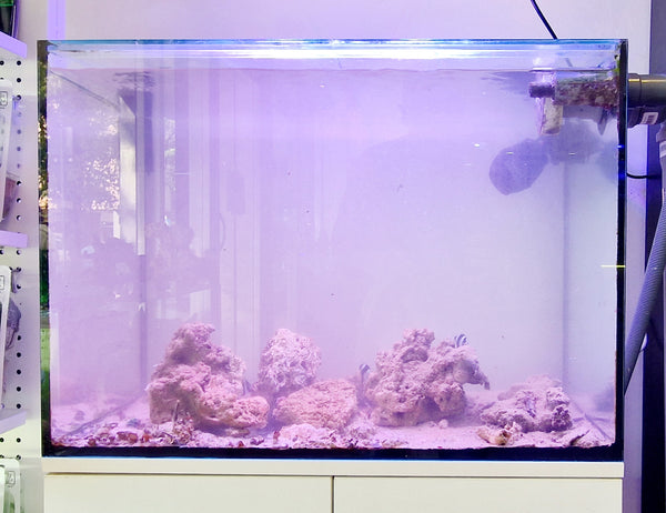 ACQUARIO 200 LITRI CON MOBILE, SUMP E ACCESSORI